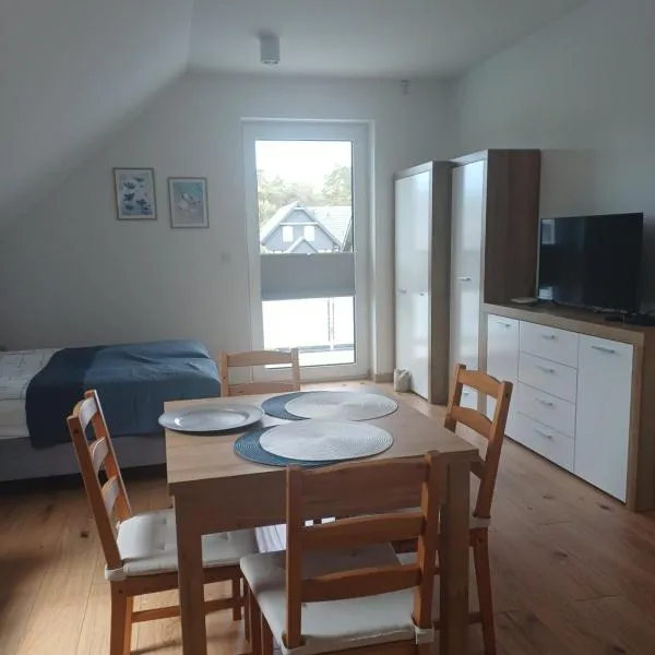 APARTAMENTY BAŁTYCKA 4d，位于罗威的酒店