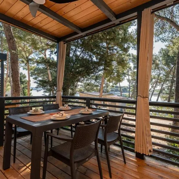 Luxury Homes Pašman，位于帕什曼的酒店