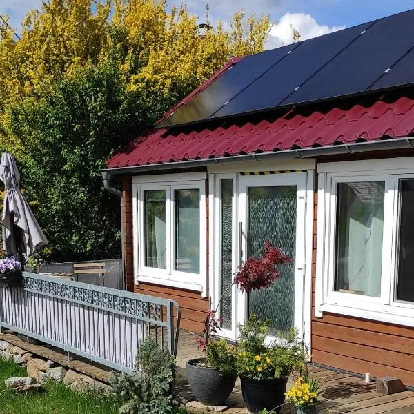 Ferienhaus Tinylausitz mit Kamin und Sauna，位于Steina的酒店