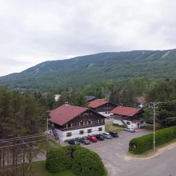 蒙莫朗西山林小居，位于Saint-Férréol-les-Neiges的酒店