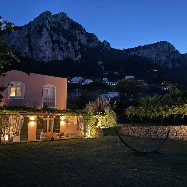 Villa Coralia with Seaview - 10 minute walk to the Piazzetta，位于卡普里的酒店