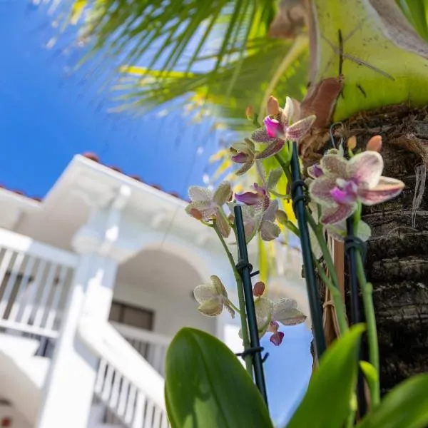 Palm Breeze Hotel，位于沃思湖的酒店