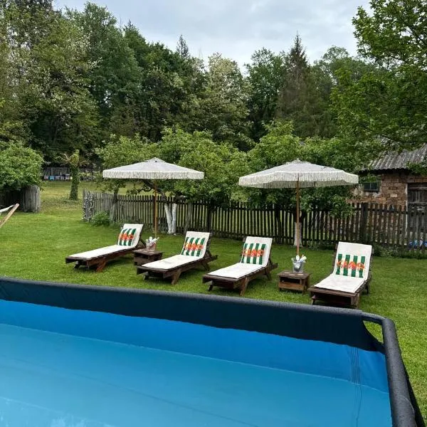 Cabana Oana 5-bedrooms chalet，位于阿拉德的酒店