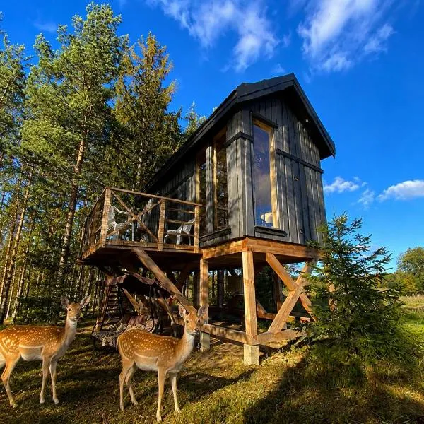 Viking Treehouse with Hot Tub, Sauna, Lake & Deer Park，位于Līči的酒店
