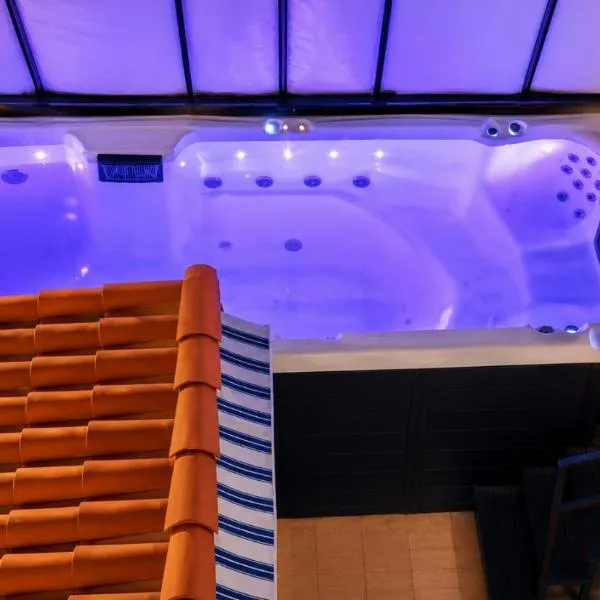 Piscine Jacuzzi Privée Chauffée, Terrasse et Garage à Nice，位于尼斯的酒店