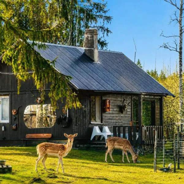 Lake Deer Park Retreat with Hot Tub & Sauna，位于塔尔西的酒店