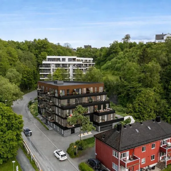 Modern apartment with balcony and view，位于特隆赫姆的酒店