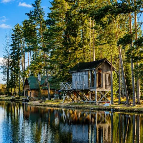 Dragon Treehouse with Hot Tub, Sauna, Private Lake & Deer Park，位于Līči的酒店