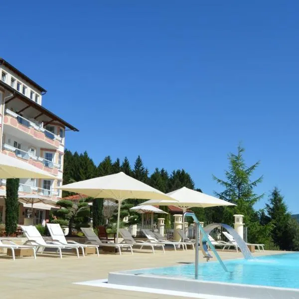 Ailwaldhof Parkhotel & Spa,位于拜尔斯布龙的酒店