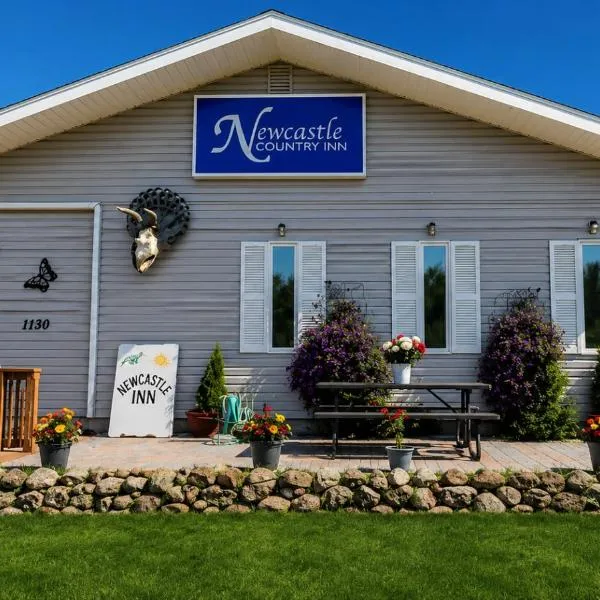 NEWCASTLE COUNTRY INN，位于德兰赫勒的酒店