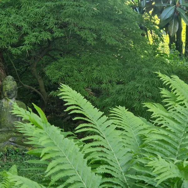 Studio Verde，位于Au的酒店