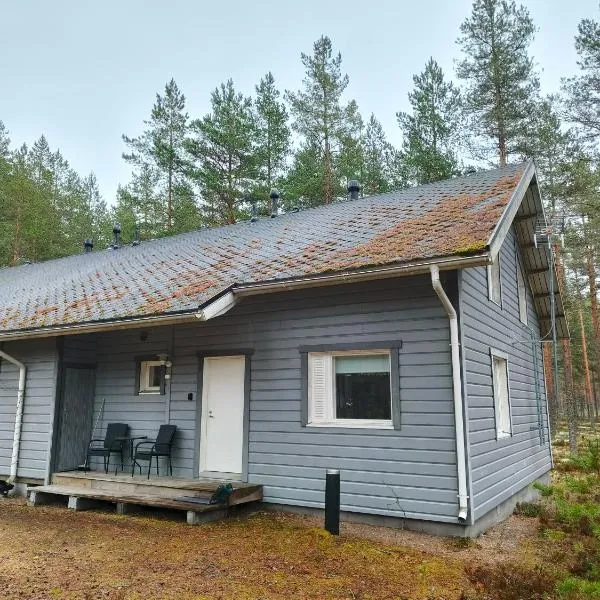 Mökki Jyrkinkuja，位于Loimaa的酒店