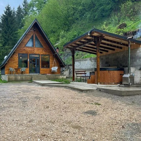 Cabana Doi Brazi A-FRAME，位于Dămuc的酒店