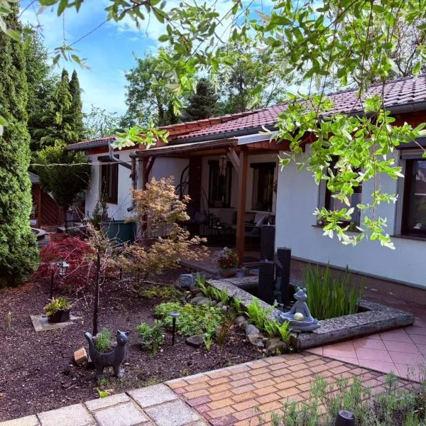 Ferienhaus an den Eichen，位于阿舍尔斯莱本的酒店