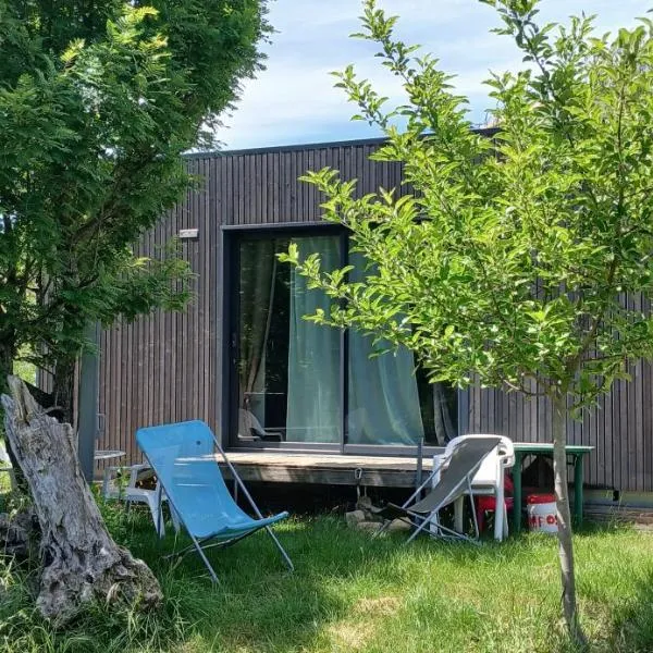Studio clim 4-5 pers animaux, mai oct spa et piscine，位于圣昂布鲁瓦的酒店