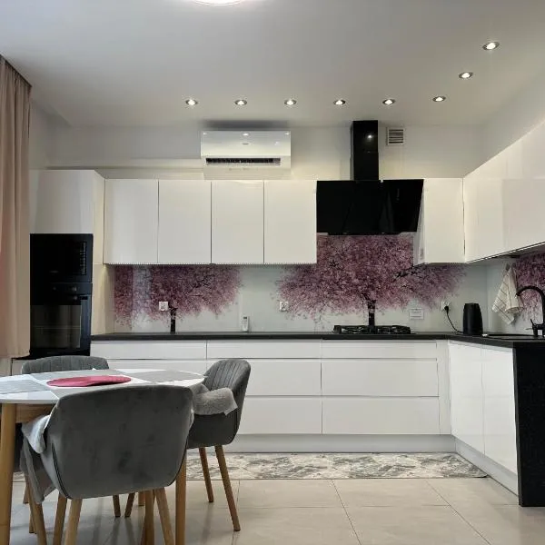 Apartament Panorama Beskidu - Rymanów Rynek，位于Rymanów的酒店