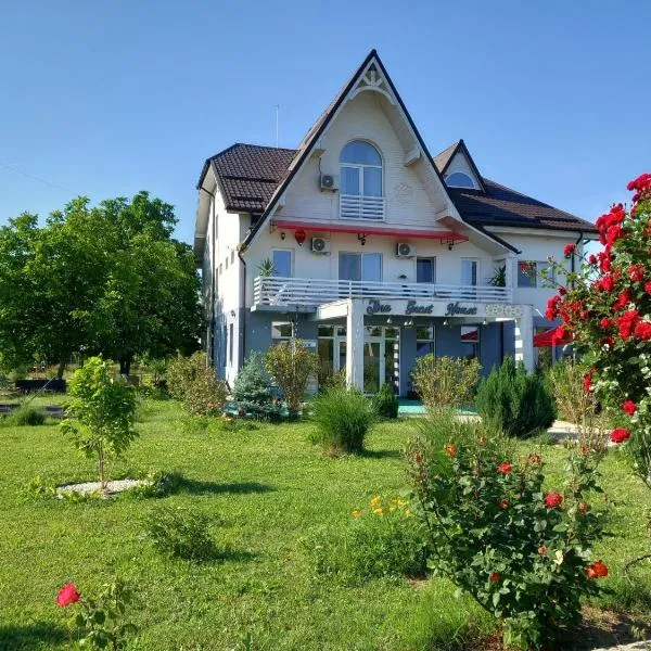 Tina Guest House，位于Basarabi的酒店