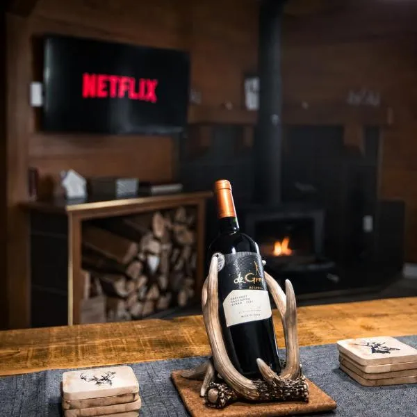 Chalets du Domaine - RUSTIQUE，位于Notre-Dame-Des-Bois的酒店