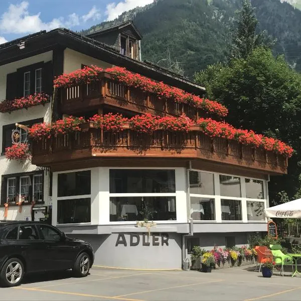 Adler，位于Linthal的酒店