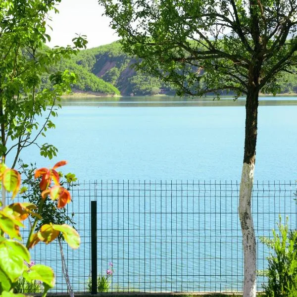 Lake of Diber,位于德巴尔的酒店