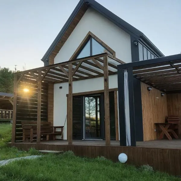 LoftLove roztocze domek，位于Jędrzejówka的酒店