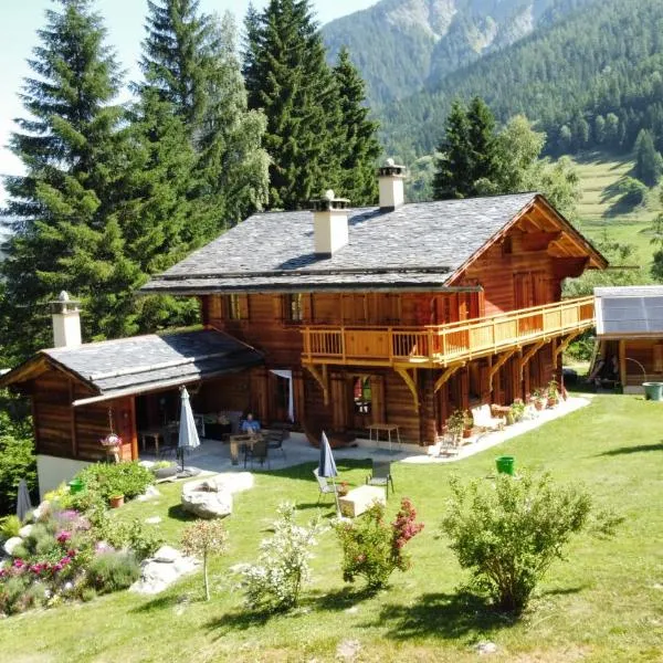 Chez Pierre，位于Praz-de-Fort的酒店