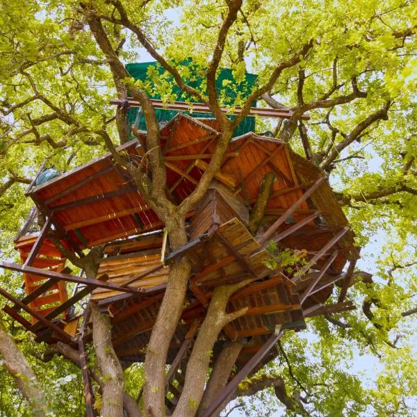 B&B La Cabane Insolite，位于Monès的酒店