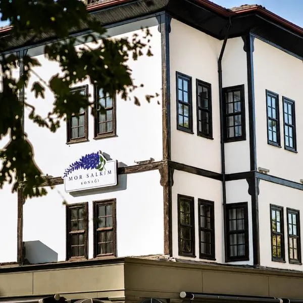 Mor Salkım Konağı，位于阿马西亚的酒店