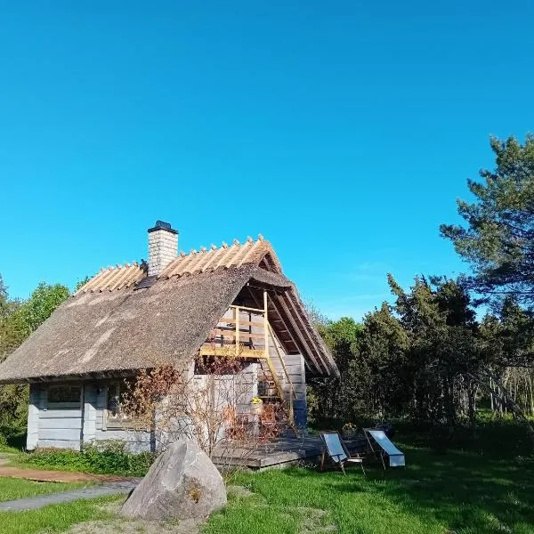 Romantiline saunamaja Pädaste lahe ääres，位于帕达斯特的酒店