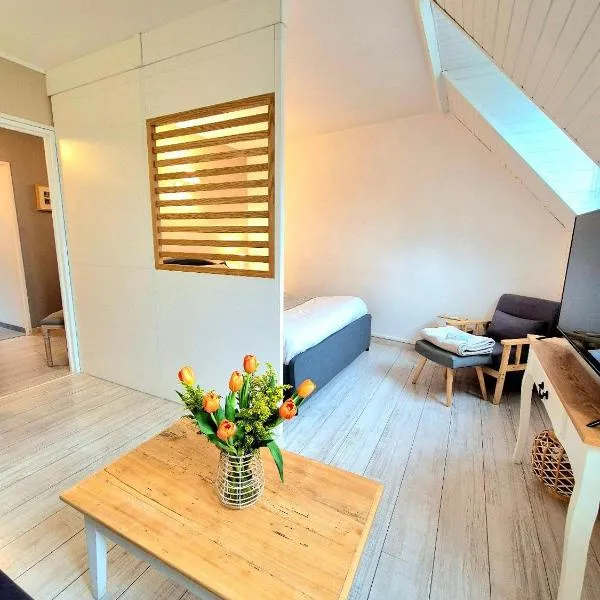 Le Cocon des Lumières Centre Chartres Parking，位于沙特尔的酒店