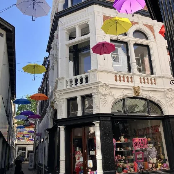 Gilded Ox Suites，位于迪温特的酒店