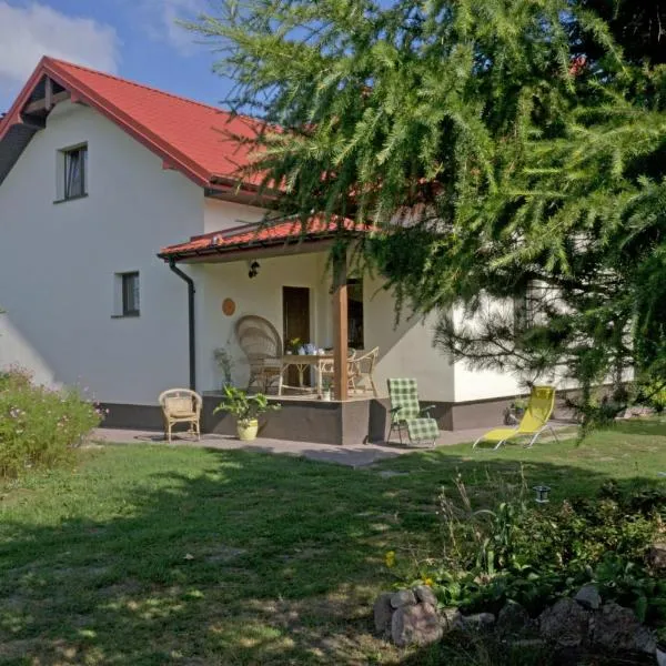 Agroturystyka pod Czarną Sosną，位于Ciepielów的酒店