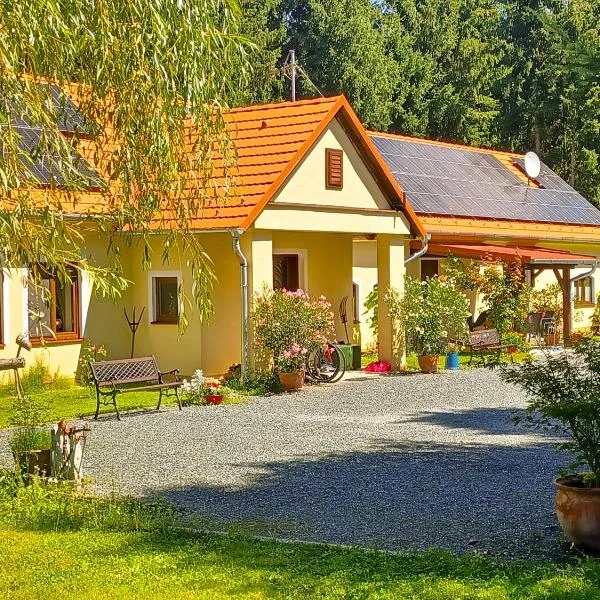 Őrségi Katicás Vendégház，位于Viszák的酒店