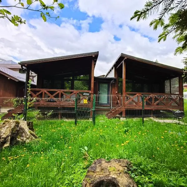 Chalet Amik，位于布什泰尼的酒店