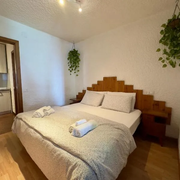 Dimaro Apartment，位于蒙克拉西科的酒店
