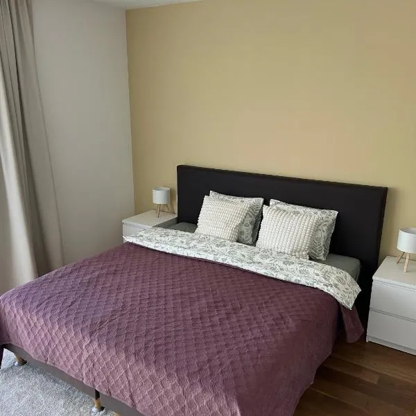 Spacious 56 m2 Apartment in the Quiet Center, Free Private Underground Parking & Self Check-In,位于里加的酒店