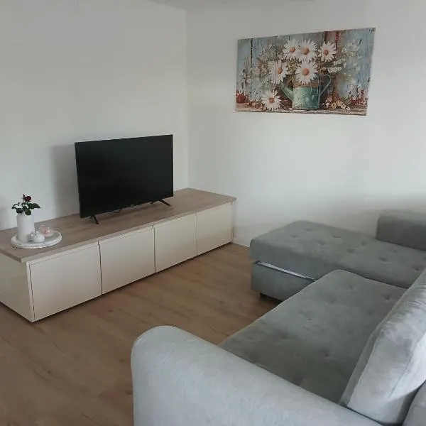 Apartmaji pri Pinku，位于Breginj的酒店