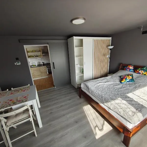 Wyspa Karsibór Świnoujście Apartament，位于斯维诺乌伊希切的酒店