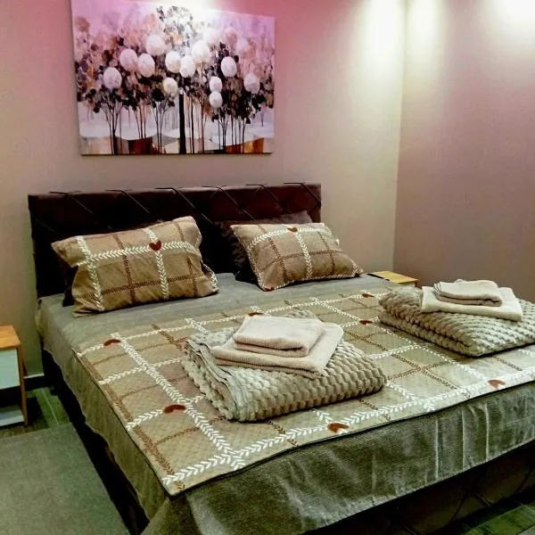 Apartmani Alibi，位于Kula的酒店