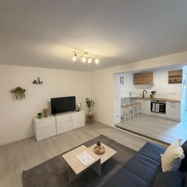 Modern Living - Im Grund 2，位于Spaichingen的酒店