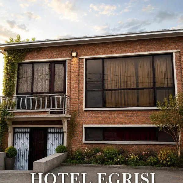 Hotel Egrisi in Senaki，位于Senaki的酒店
