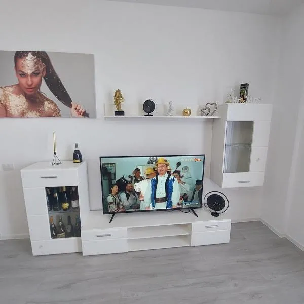 Vlad Apartment,位于百乐费利克斯的酒店
