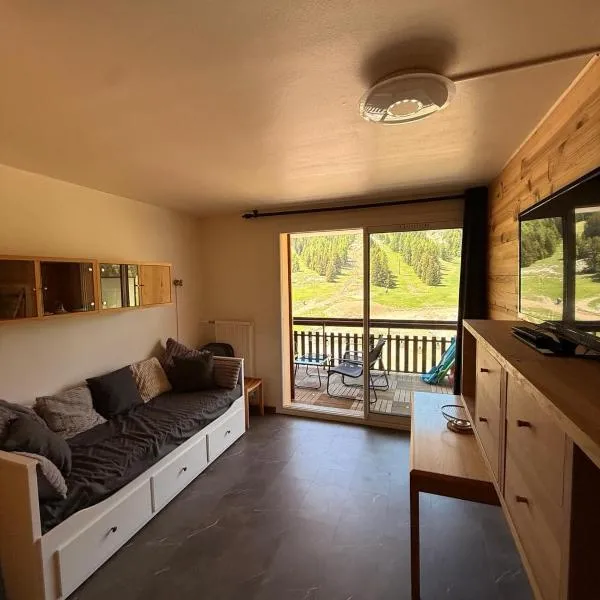 Studio aux pieds des pistes et des commerces，位于德沃吕伊的酒店