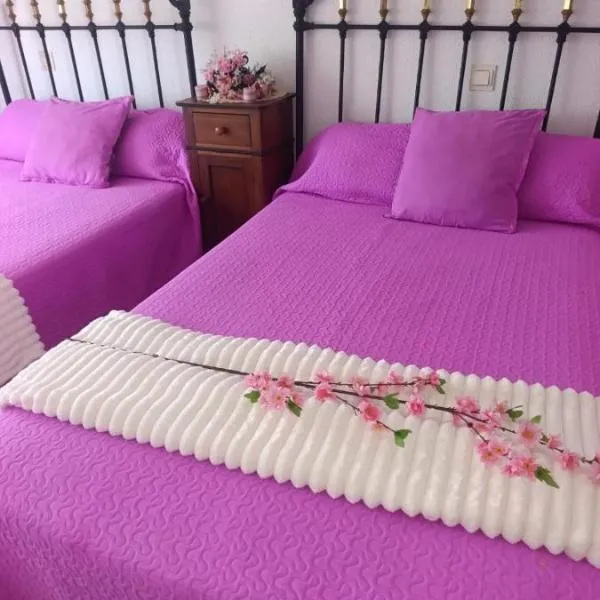 Albergue Hogar del Peregrino，位于Itero de la Vega的酒店