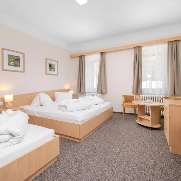 Horský Hotel Jelínek，位于贝德日霍夫的酒店