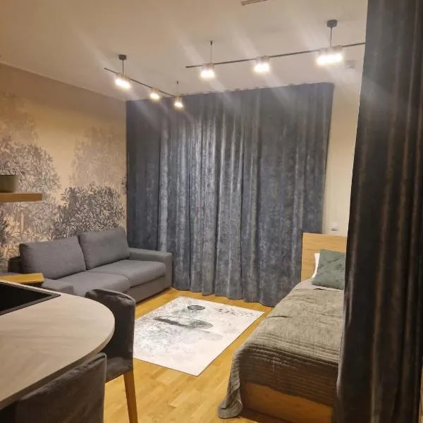 Oja 69-4 Apartment,位于派尔努的酒店