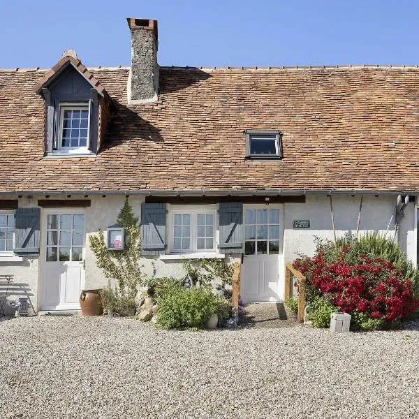 La Ferme Des Bigornes，位于Châtillon-sur-Indre的酒店