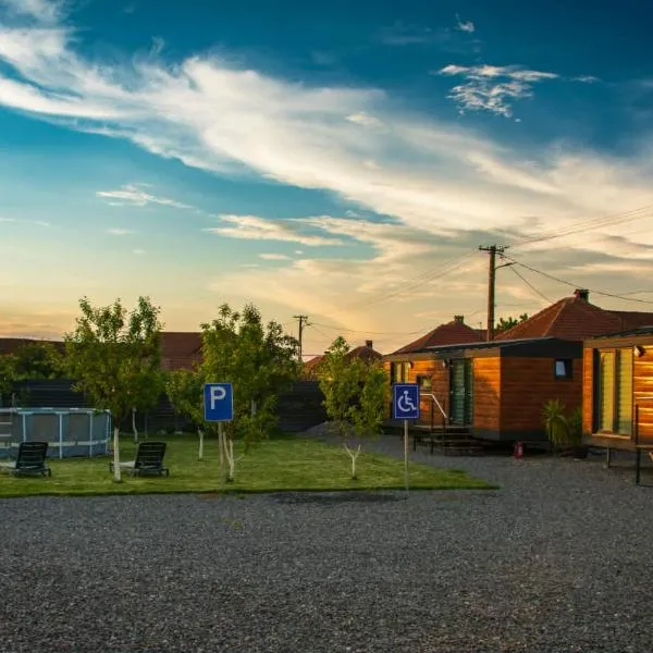 Tiny House Doi Frați，位于Drăguş的酒店