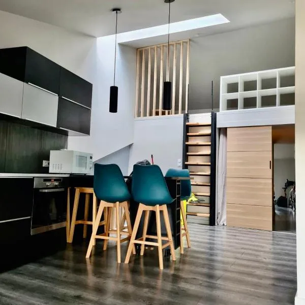 Le refuge médiéval - Appartement climatisé perché sous les toits de Billom，位于Billom的酒店