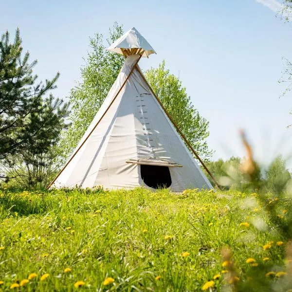 Briedžio sapnas - tipis saulė，位于Sudervė的酒店